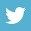 twitter logo-blue box